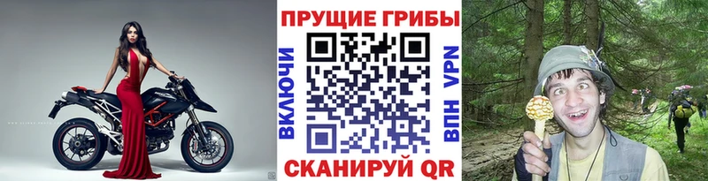 Галлюциногенные грибы прущие грибы дарнет шоп Томмот